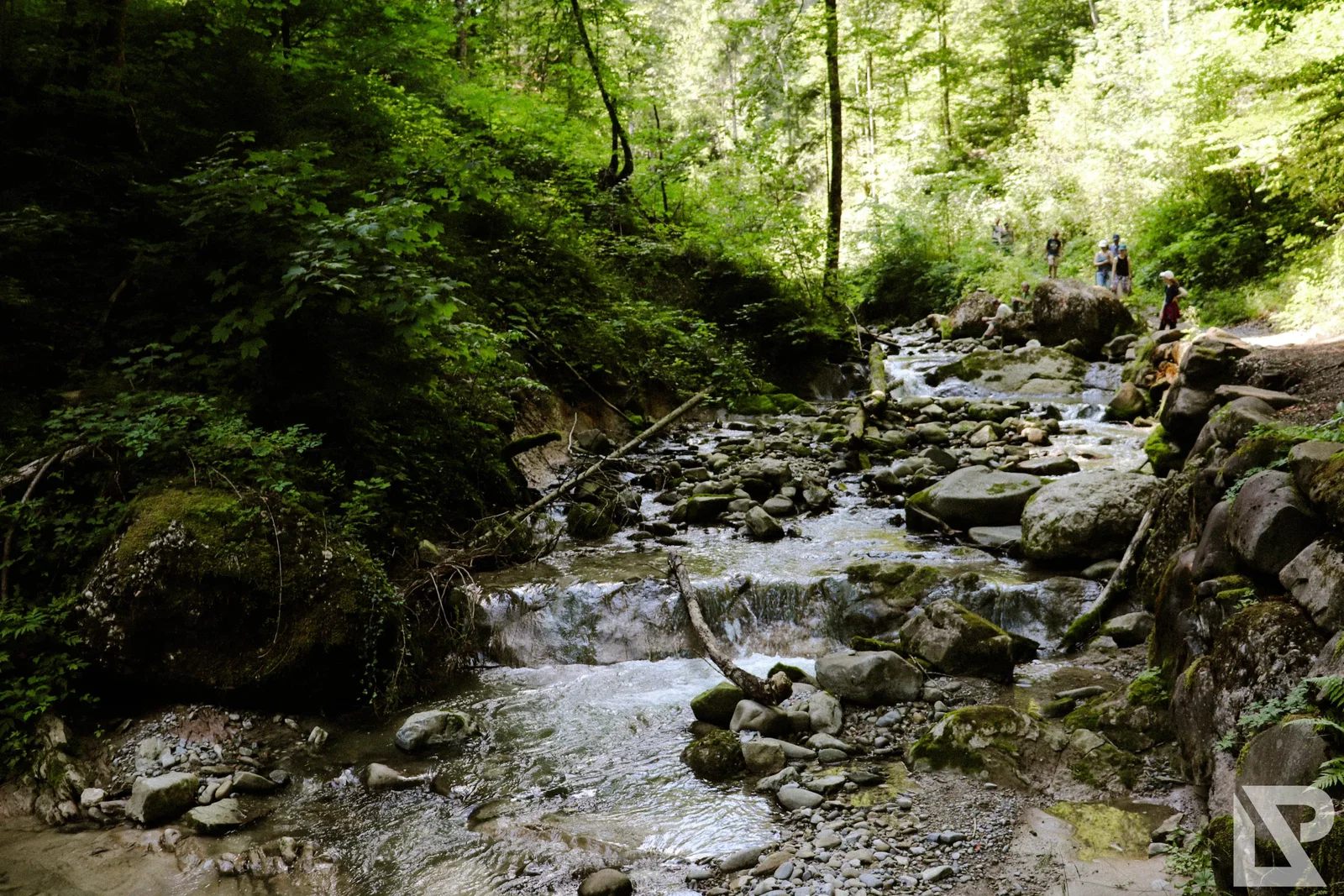 Photo 13